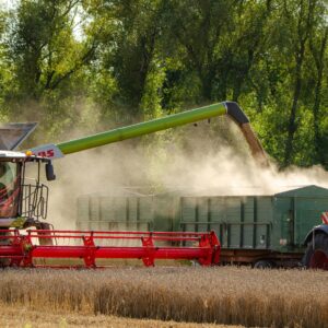 Combine harvester unloading grain into a trailer in a sunny wheat field.