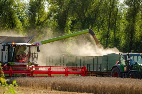 Combine harvester unloading grain into a trailer in a sunny wheat field.